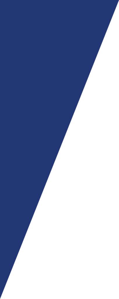 Triangle blue left